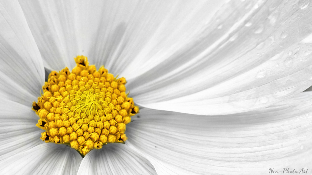 природа природа